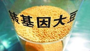 金龍魚(yú)陷轉(zhuǎn)基因門(mén)風(fēng)波 專家稱安全性尚無(wú)定論，對(duì)酒類經(jīng)營(yíng)有何啟示？