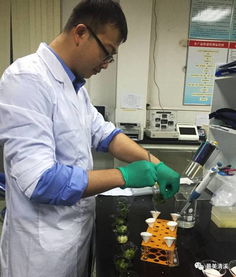 清溪食藥監分局年度抽檢成效顯著，筑牢食品藥品安全防線